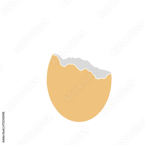 Chicken Egg Shell 