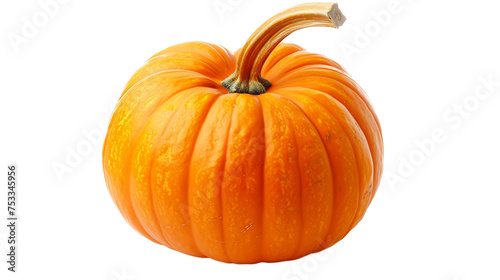 Pumpkin isolated on white transparent background