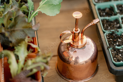 Garden Still life with Copper Spray Bottle on Wooden Table