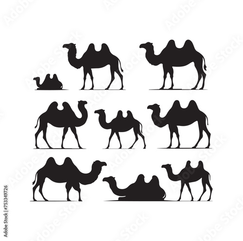 camel silhouettes vector on white background