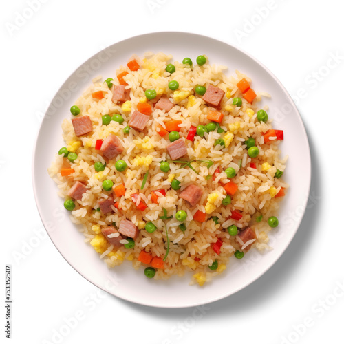fried rice isolated