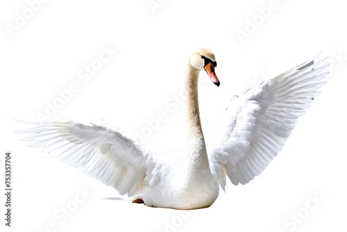 Single white swan, isolation on pure white background, captures elegance, intricate detailing of feathers, subtle shadows grounding, stock photography, ultra clear, high key lighting, minimalist