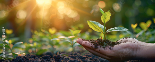 A hand holding a small plant in the dirt. The plant is green and he is a seedling. Concept of growth and nurturing, as the person is taking care of the plant and helping it to grow