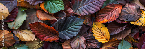 a pile of colorful autumn leaves spread out on the ground  generative AI