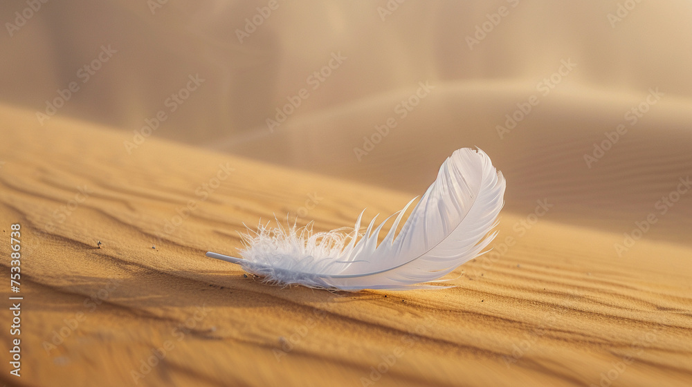 Feather drifting through the desert Feather drifting through the desert