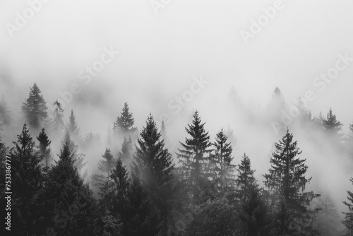 Fog enveloping a forest in minimalism © pprothien