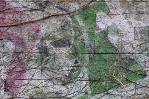 A close-up view of an old wall overgrown with a climbing bush. Background for various uses.