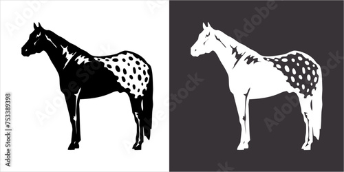 IIlustration Vector graphics of Horse icon