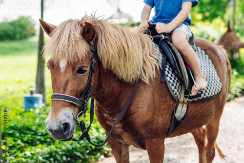 Little boy riding small horse. Summer mood bright nature. Hotel park near sea. Communication with animals