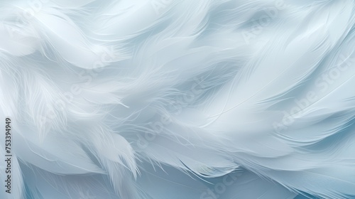 Soft feather texture, detail with surrounding space for copy