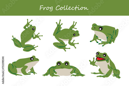 Set of frog in flat design style. Vector illustration.