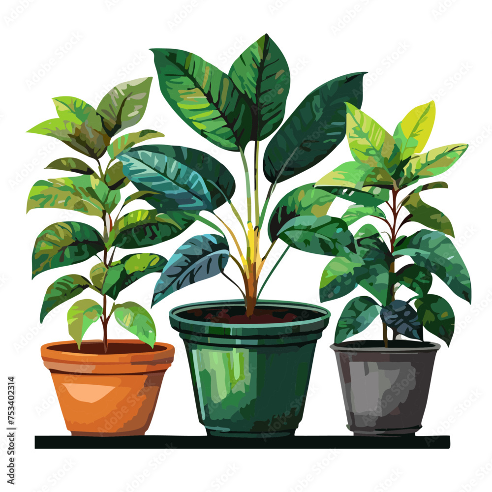 Houseplants flowerpots isolated icons