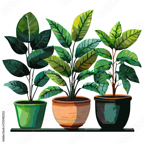 Houseplants flowerpots isolated icons