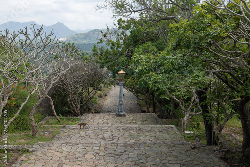 Macaque monkey roaming across the steps at the Dambulla Temple in the Central Province of Sri Lanka