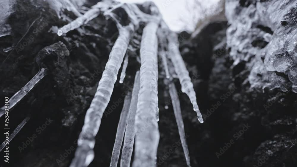 Icicles hanging from rocky ledge in close view, hinting at winter's chill