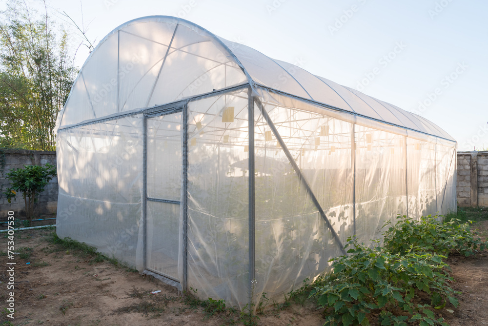 structure of greenhouse in construct time before plant   