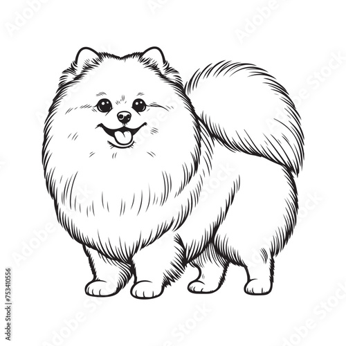 Line art of German spitz dog cartoon vector