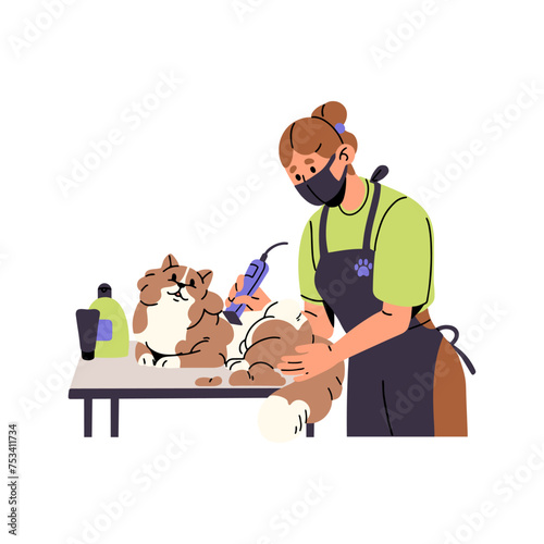 Pet grooming service salon. Professional groomer cuts fur of fluffy cat with trimmer. Girl cares about cute kitty. Furry kitten lying on table. Flat isolated vector illustration on white background