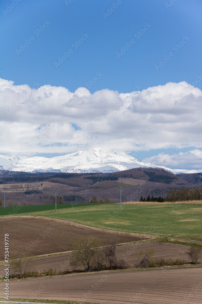 春の晴れた日の丘陵畑作地帯と雪山　大雪山
