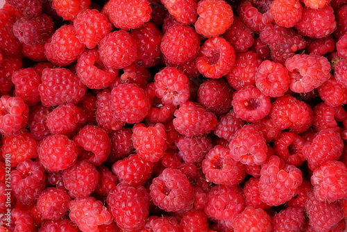 Raspberries are ripe red and sweet.