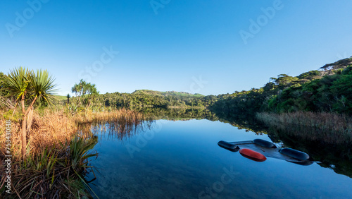 Mirror Lake Waters Reflecting Lush Nikau Forest in Kaihoka Lakes Scenic Reserve, Golden Bay, South Island, New Zealand photo