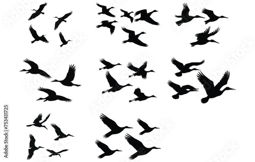 Pelicans Flying Silhouettes  flock of birds flying silhouetted.Pelicans Flying vector