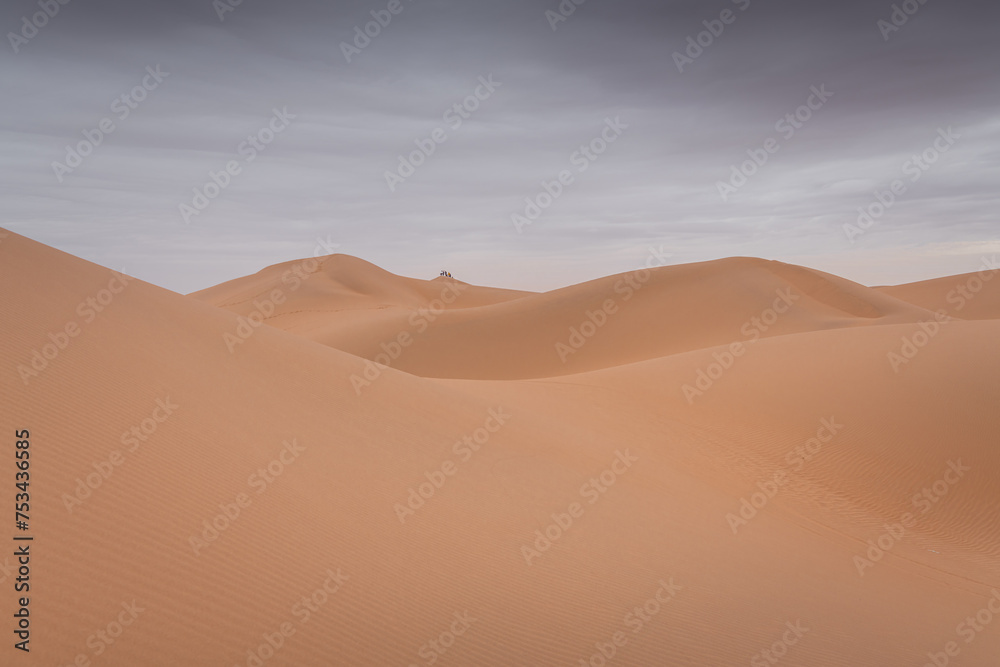 Desert scene in Wuhai . Inner Mongolia. China.
