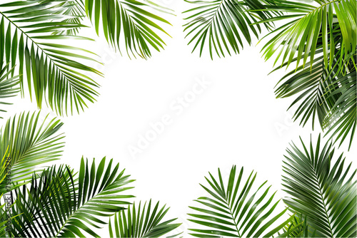 Tropical summer frame made from lush green palm leaves © masud