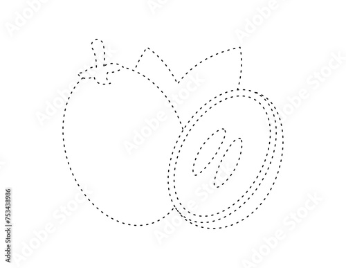 dashed sapodilla outline for coloring book template, sapodilla for kids illustration worksheet printable