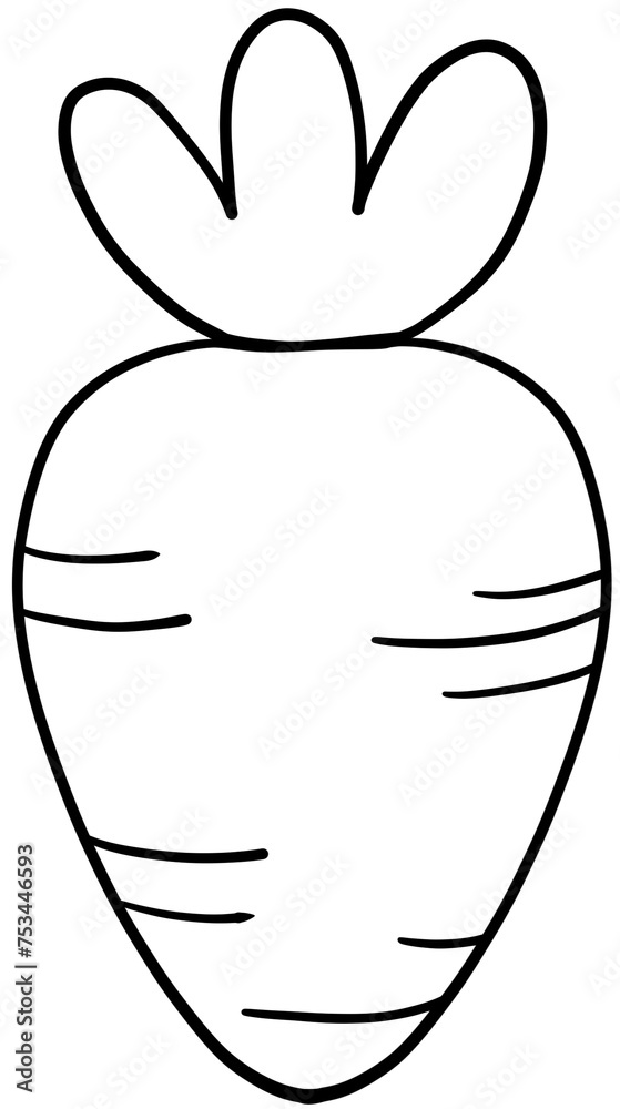 carrot outline drawing carrot outline drawing