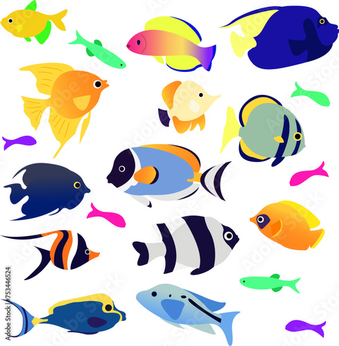 sea fishes tropical fishes octopus Tuttle illustration vector photo