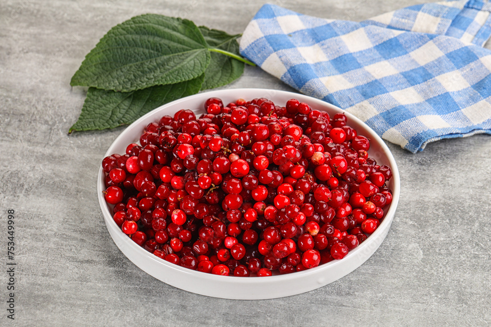 Ripe sweet wild organic cowberry Ripe sweet wild organic cowberry