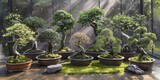 A Lush Array of Bonsai Trees Bathing in Sunrays, Showcasing the Beauty and Precision of the Bonsai Craft, Generative AI