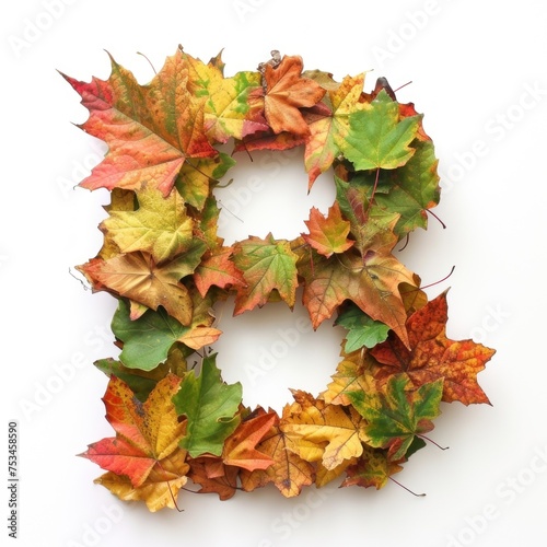 Colorful Autumn Alphabet - Vibrant Fall Foliage Shaped as Letter B on a Pristine White Backdrop