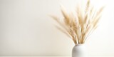 Pampas grass in vase, white background. Decoration element for design purposes. Dried, fluffy gray-beige plant.