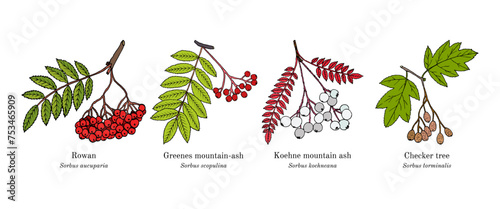 Collection of edible and medicinal plants