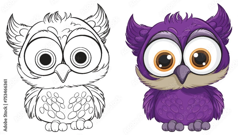 Vector illustration of an owl, colored and line art.
