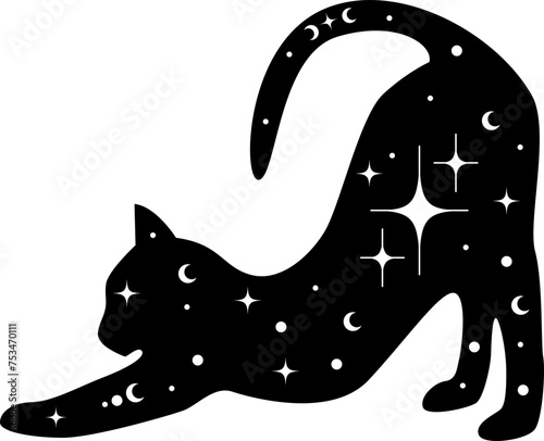 Mystical Cat