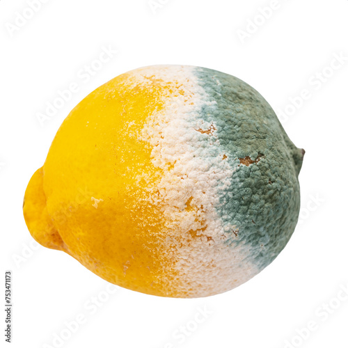 Rotten moldy lemon isolated on white background
