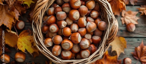 Autumn-themed top view of hazelnuts in a rustic basket in a garden, representing the concept of harvesting on Thanksgiving. It serves as a hazelnut background for a composition.