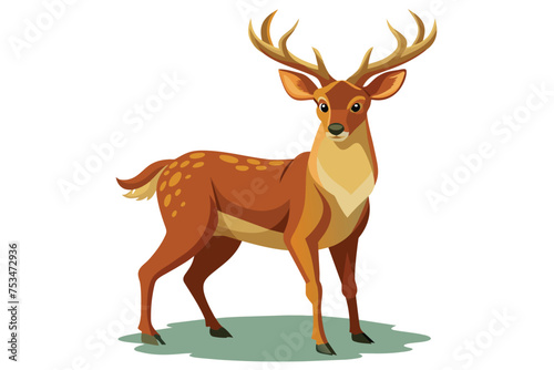 Deer Illustration Design