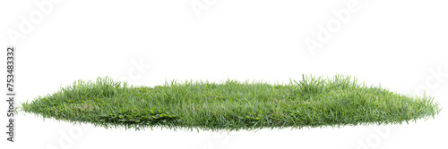 Collection unit green grass on transparent background 3d rendering png