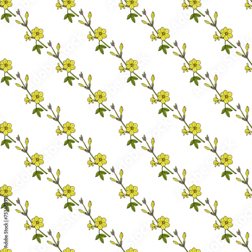 Seamless vector pattern with hand drawn Winter jasmine  Jasminum nudiflorum   ornamental plant