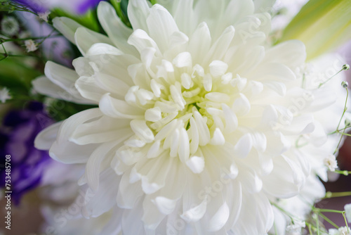 白い菊の花、お葬式のお供え