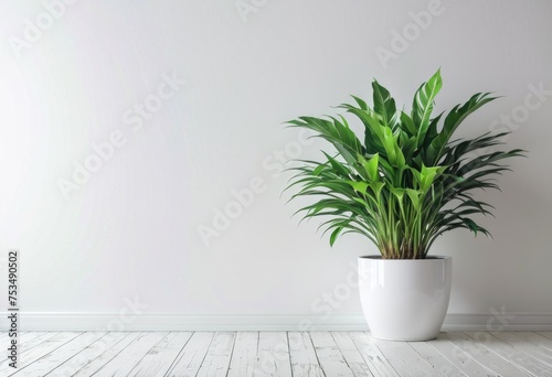 A background featuring green plants in a white living room interior, with a white wall offering ample copy space by ai generated © SR Creative Idea