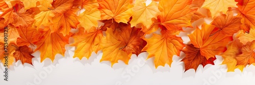 Fall in Love with Autumn: A Vibrant Maple Leaf Garden on an Orange Background photo