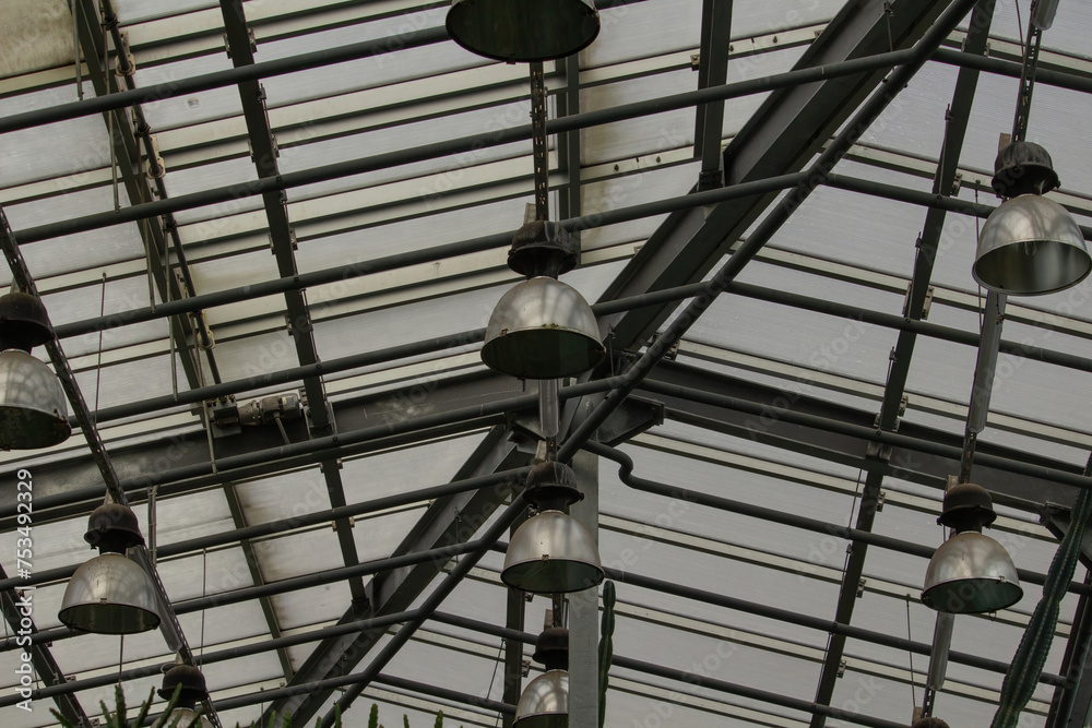 Botanical garden. Under the roof special lamps with daylight ligth temperature.