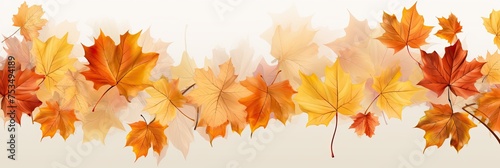 Autumn Leaves Background. Maple Tree Branch with Fall Leaves in Orange Shades Isolated on Garden