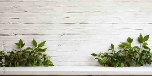 Perfect for showcasing products with an empty table, green leaves, and white brick wall. Ideal for presentation backgrounds, displays, and mock-ups.