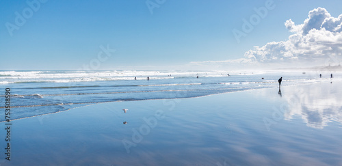 West Coast beach on a sunny day, Muriwai, West Auckland, New Zealand